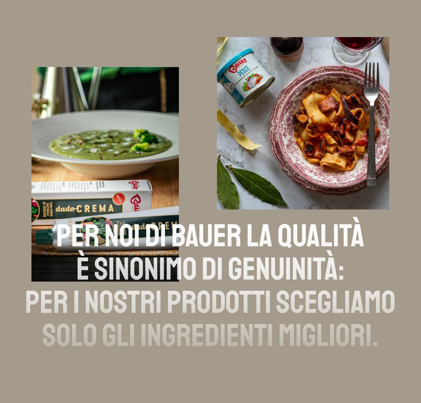 Bauer — il sito web (TEAM99)