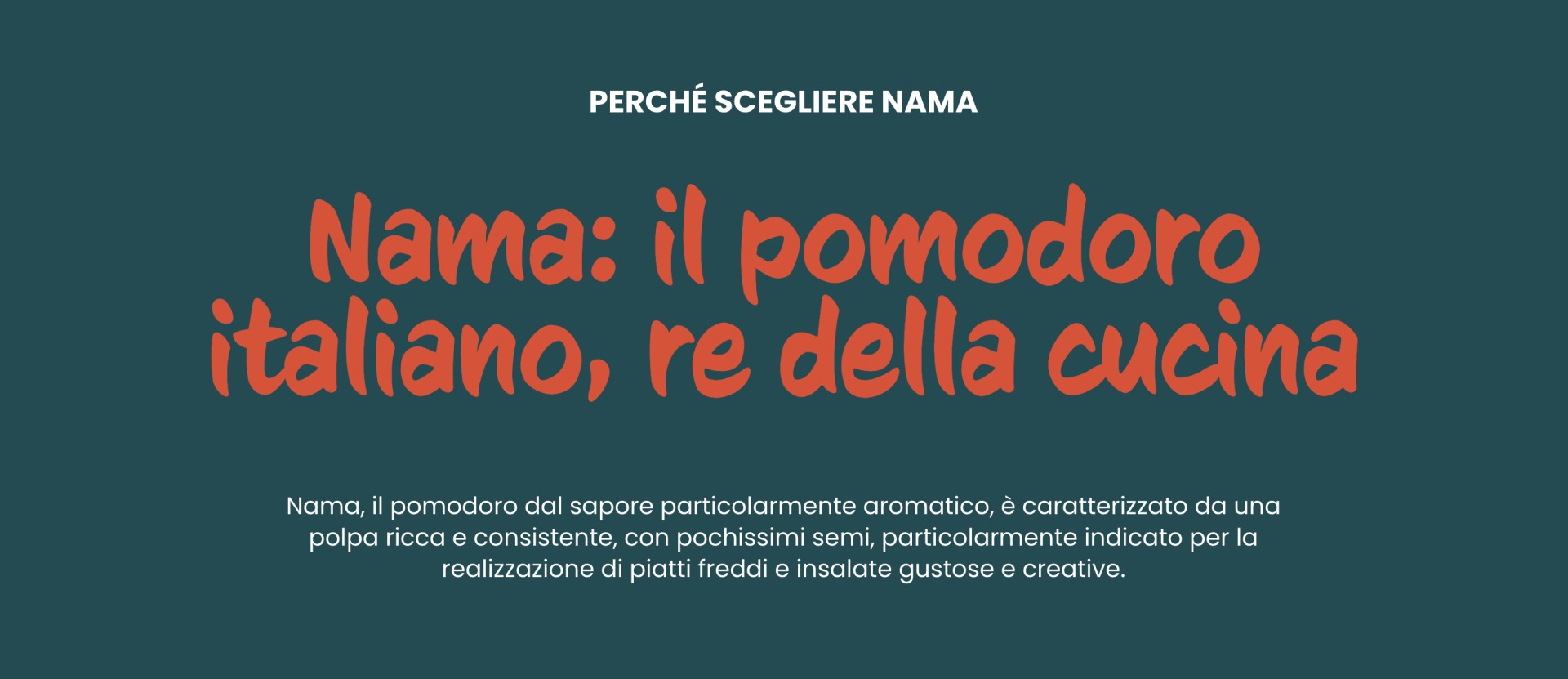 NAMA — il sito web (TEAM99)
