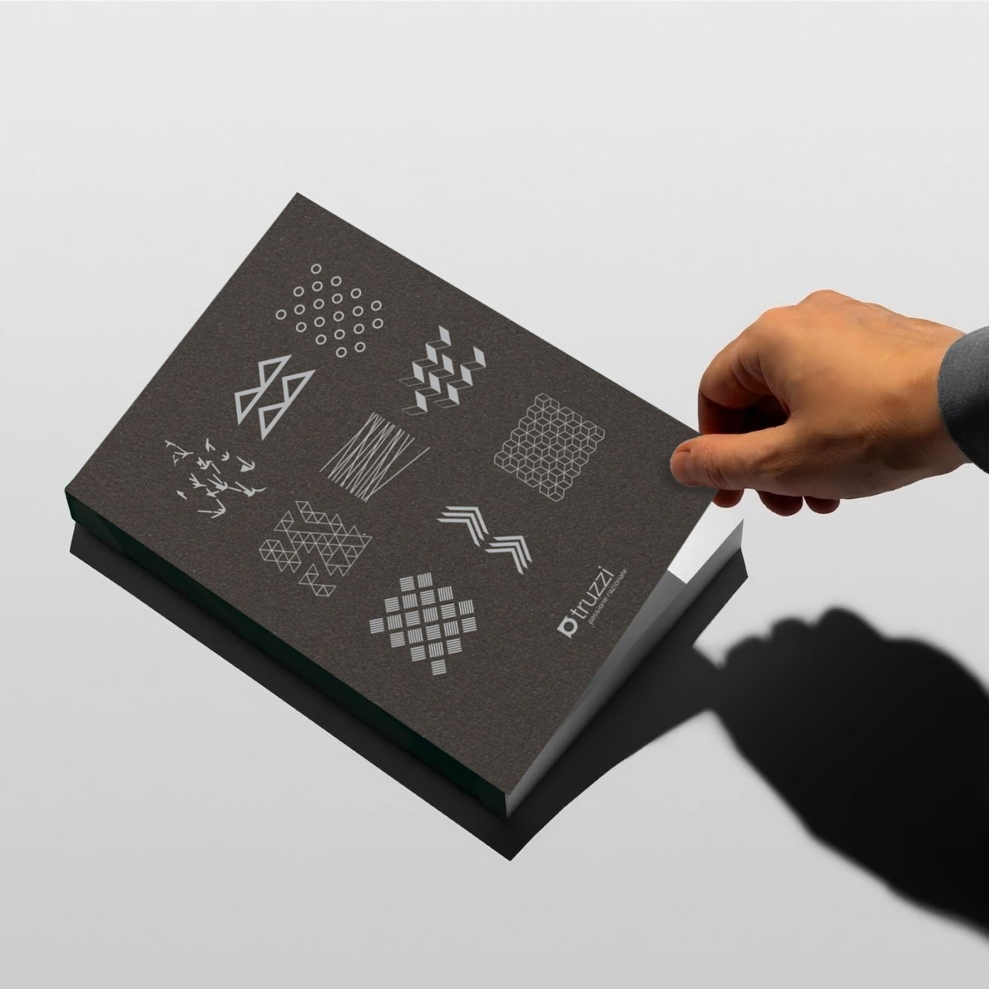 Truzzi — immagine del progetto (TEAM99)